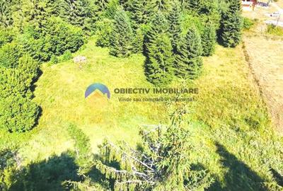 TEREN intravilan  comuna TARCAU - SCHITU - 2