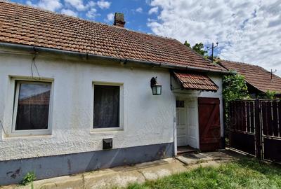 Casa cu gradina Casa cu gradina - 2