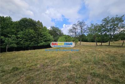 Teren 2680 m situat la Curtea de Arges cu iesire spre Trans - 7