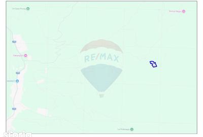 Teren de 10100 mp, în Bulz - 6