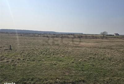 Spațiu comercial, în Central - 5