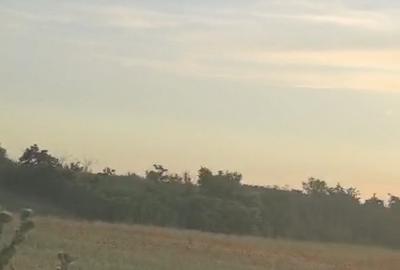 Teren Constructii | 5500 Mp | Calarasi - Granita cu Ilfov | Posta - Fundeni - 2