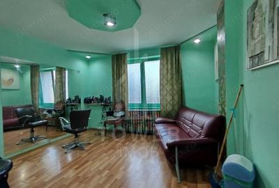 Casa de vanzare singura in curte, cu pivni?a spa?ioasa ?i teren liber, 234 - 3