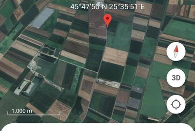 Teren de 5000 mp, în Feldioara - 2