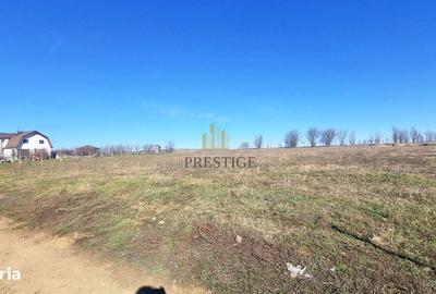 Spațiu comercial, în Cristian - 6