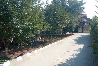 Casa P+1+M , teren 307mp , 5 camere Mega Image Drumul Fermei Casa P+1+M , teren 307mp , 5 camere Mega Image Drumul Fermei - 2