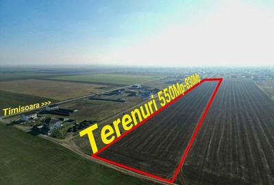 Teren de 625 mp, în Sânandrei