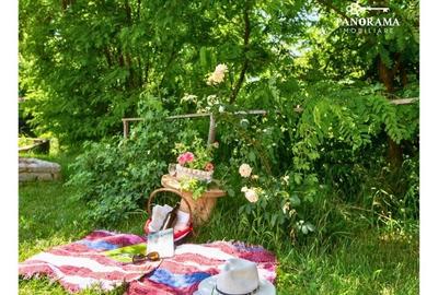 Proprietate cu farmec istoric și potențial turistic in Saschiz - 18