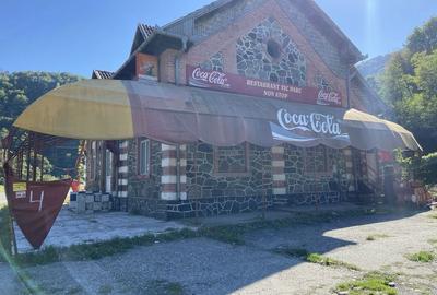 Spațiu comercial, de 480 mp, în Câineni - 2