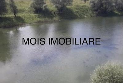 VAND TEREN  CU LACURI LA AVRIG - 4