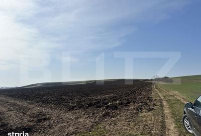 Teren de 15000 mp, în Sântuhalm - 5