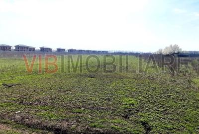 Corbeanca - Tamas, teren intravilan 19.325 mp - 1