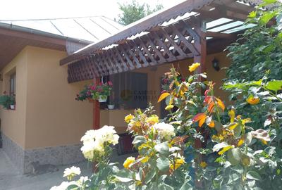 Casă individuală cu 3 camere cu Canalizare în Hănțești - 30