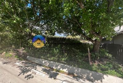 Teren Construcții intravilan de 6092 mp, în Turturești - 3