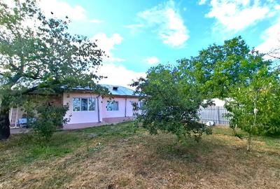 Casă cu 3 camere cu Teren 2300 Mp în Cotești - 2