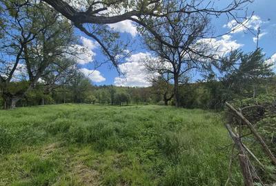 Teren de 1400 mp, în Goruia - 8