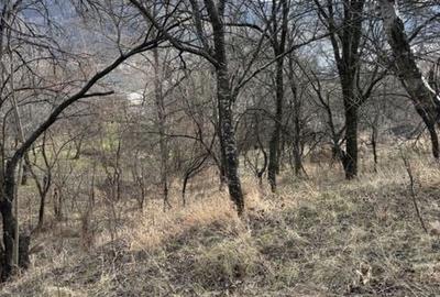 Teren de 1800 mp, în Central - 4