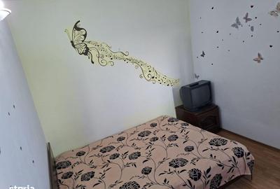 Apartament cu 2 camere nedecomandat în Banat - 7
