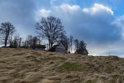 19,5 Ha  TEREN PEISAJ PANORAMIC SPECTACULOS zona turistica montana BULZ -  BIHOR - 52