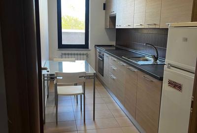 Apartament cu 2 camere semidecomandat, mobilat în Băneasa - 2