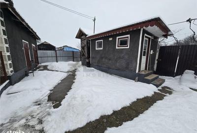 Casă cu 4 camere cu Teren 4000 Mp în Cociuba Mare - 1