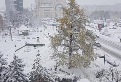 Apartament 3 camere, Parcul Tradafirilor - 8