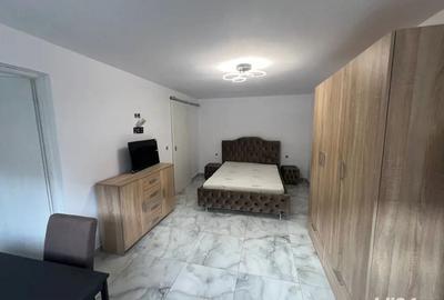 Apartament cu 1 camera-Bucovina - 3