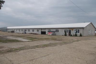 Centrul de afaceri Bihor - 5