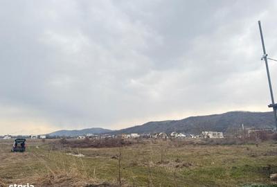 Teren de 3000 mp, în Aninoasa - 8