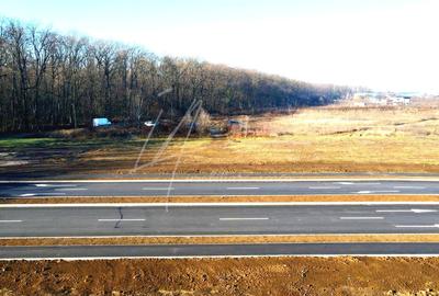 Teren intravilan, 2 fronturi, Drumul Padurea Pustnicu 65 - Greenfield - 18