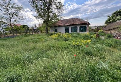 Casă individuală cu 3 camere cu Teren 850 Mp în Tămădău Mic - 3