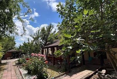 Casa individuala de vanzare | 254 mp utili | 894 mp teren | Dinias, la 25 km de - 18