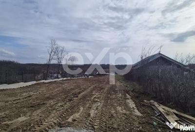Teren în Albota - 2
