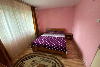 Apartament cu 2 camere semidecomandat în Craiovița Nouă - 4