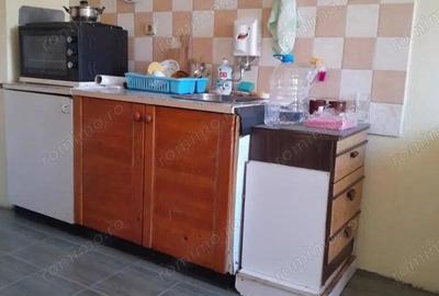 Apartament cu 1 camera in zona Buziasului - 2