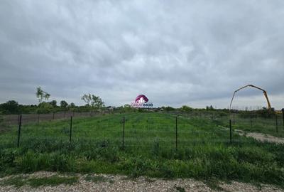 Teren 5600 mp Snagov Lac - 6