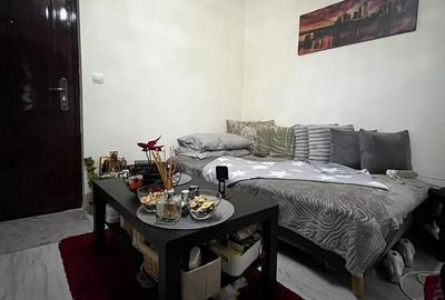 Garsonieră semidecomandată, mobilată în Theodor Pallady