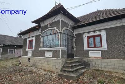 Vanzari Case / vile - 3