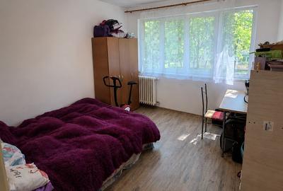 Apartament cu 2 camere semidecomandat, mobilat în Gorjului - 2