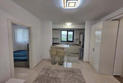 Apartament cu 2 camere semidecomandat în Bucium - 2