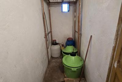 Casă cu 3 camere în Peceiu - 10
