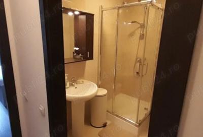 Apartament cu 2 camere decomandat, mobilat în Iancului - 4