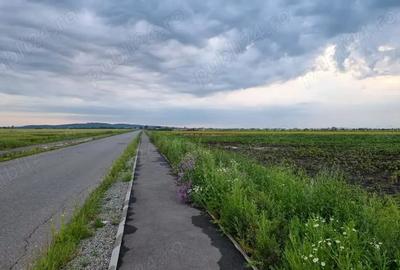 Teren de 30000 mp, în Filipeștii de Târg - 6