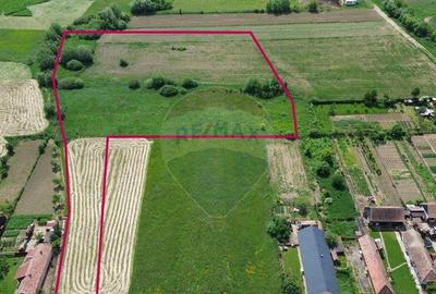 Teren de vanzare Blajel, jud. Sibiu | 15.360 mp - p... - 13