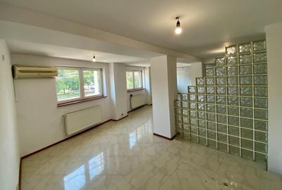 Spatiu comercial, stradal, de inchiriat - 6