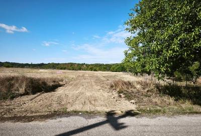 Teren intravilan 721mp deal - munte - 7