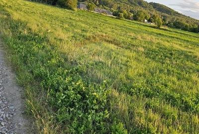 Teren Construcții intravilan de 1495 mp, în Dobreni - 29