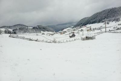 Teren Intravilan Fundata 1421Mp - 6