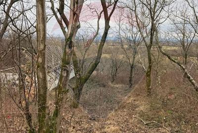 Spațiu comercial, în Tăuții-Măgherăuș