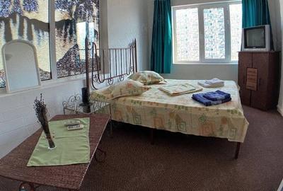 Apartament cu 4 camere decomandat în Nord - 5